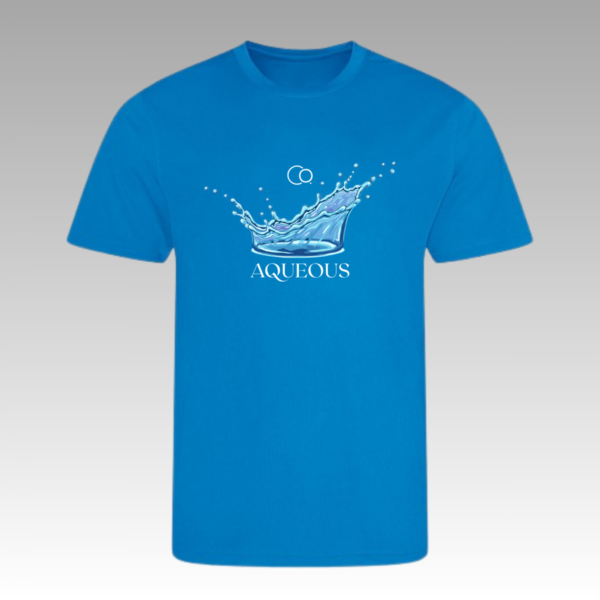 AQUEOUS Show T-Shirt - Image 1